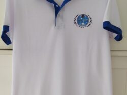 Polo Bicolore (blanc/bleu) Manches Courtes